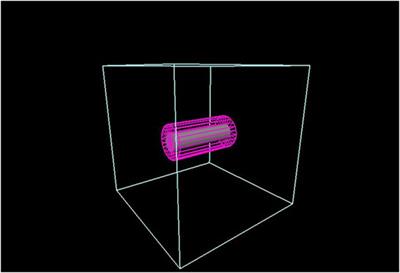 Dosimetric effects of inserted non-radioactive elements in a tumor area in proton therapy